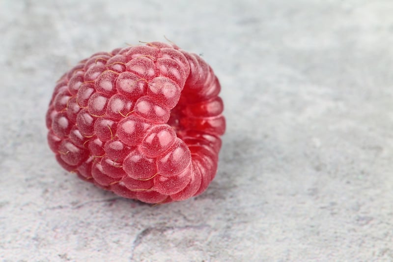 Nature-inspired Cuisine